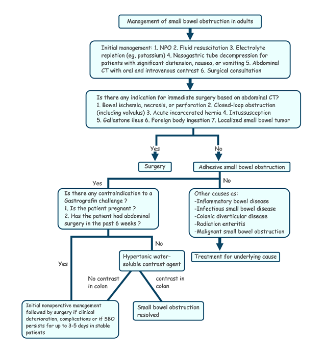 Collapsed lung - hemothorax